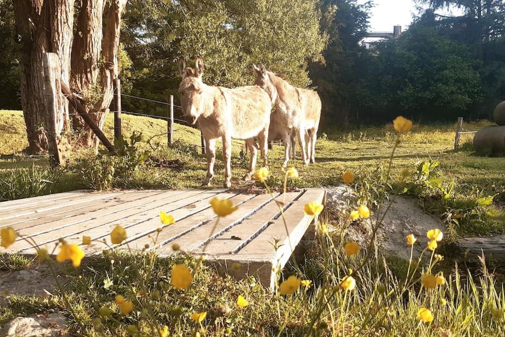 La Parenthese La Ou Le Temps S'Arrete. Διαμέρισμα Gouvy Εξωτερικό φωτογραφία